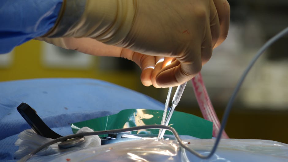 Revitalize Your Mobility: Ranchi's Leading Joint & Trauma Care by Dr. Md Arif