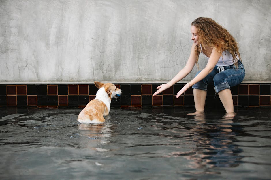 Trust Jeddah's Top-Rated Swimming Pool Cleaning Service