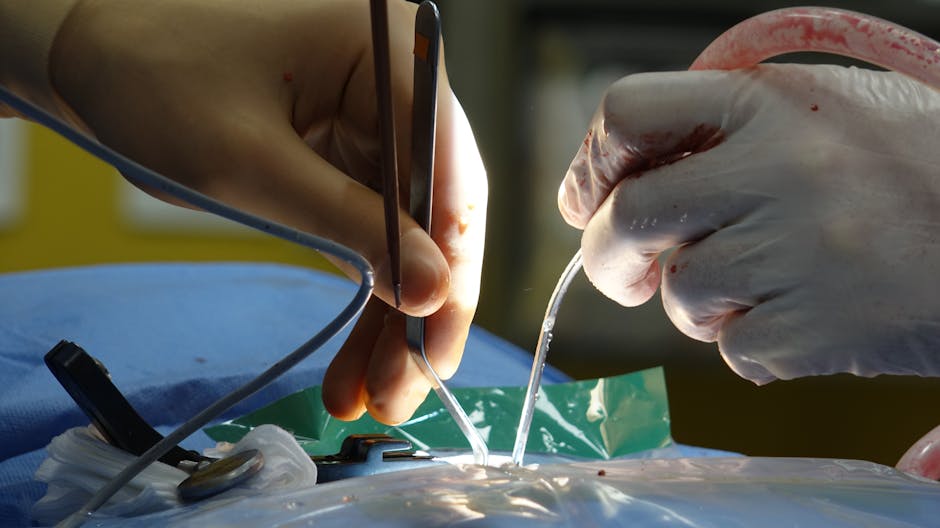 Top Orthopedic Surgeon in Ranchi: Dr. Md Arif's Comprehensive Joint Care