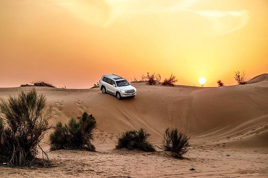 Evening desert tour