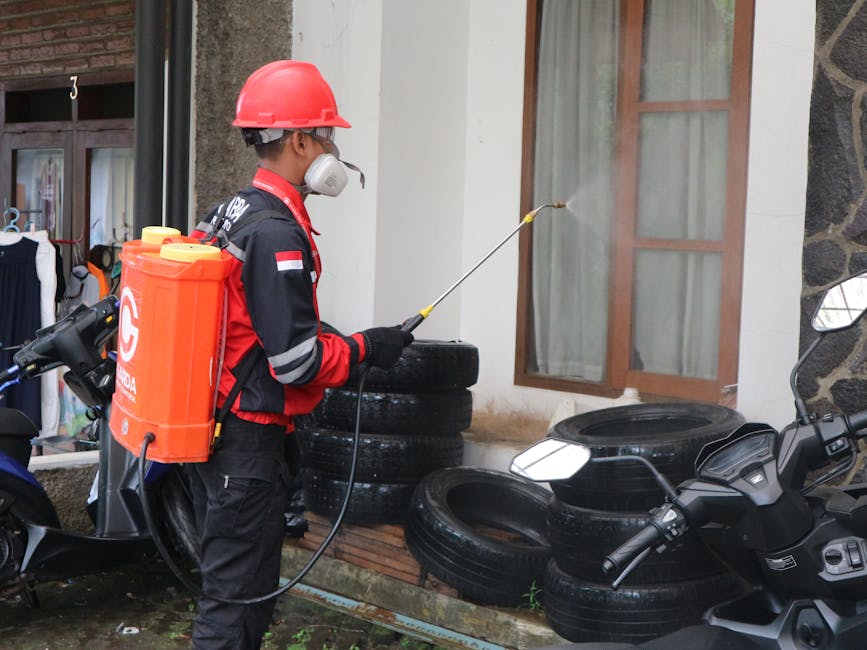 Quality Pest Control & Cleaning Services Across Qatar