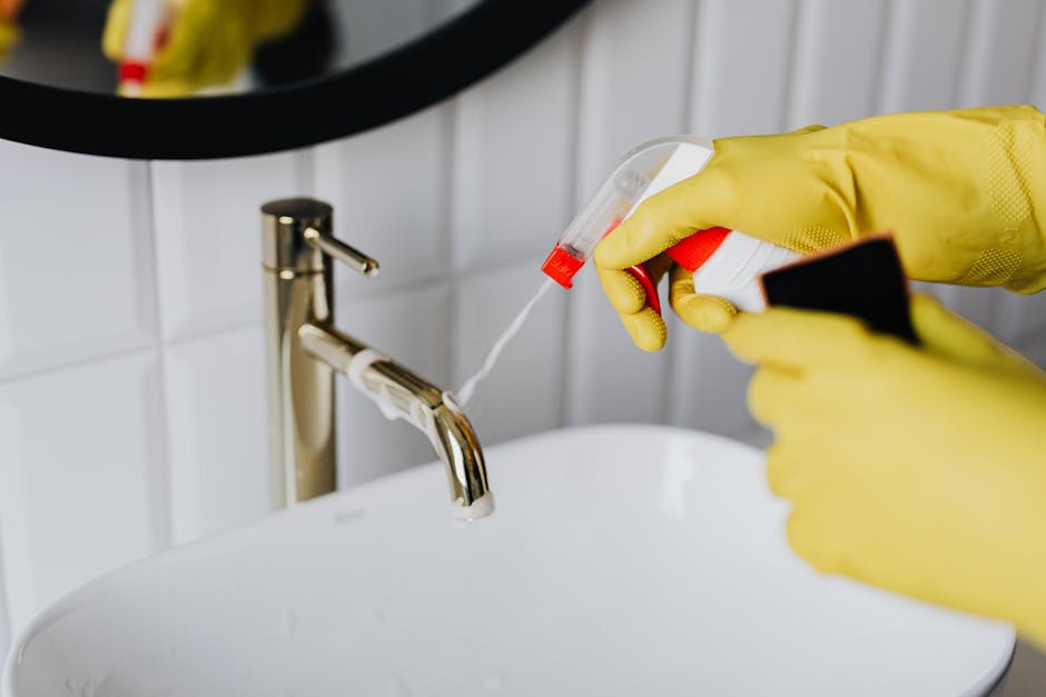 Top-Quality Residential Cleaning & Pest Control in Qatar